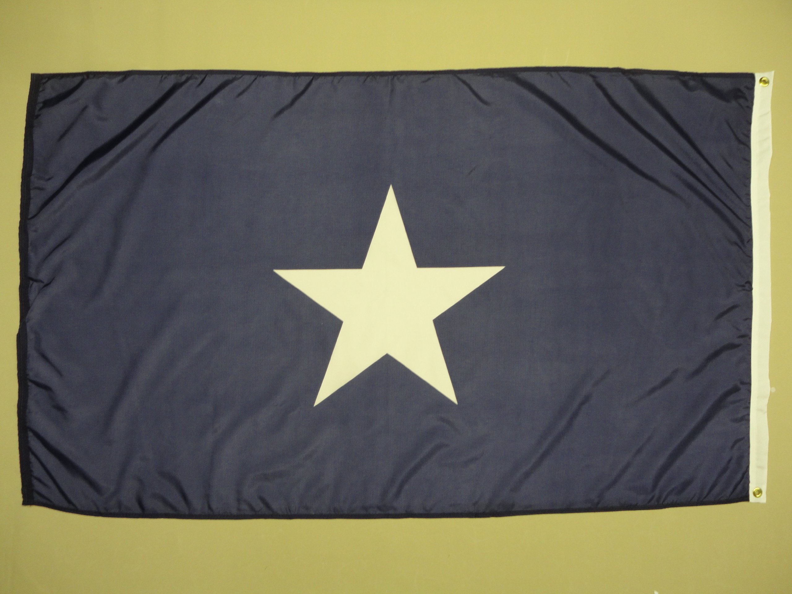 Amazon.co.jp: Annin Flagmakers Bonnie Blue Traditional Flag